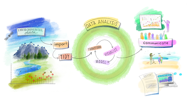 Descriptive Statistics